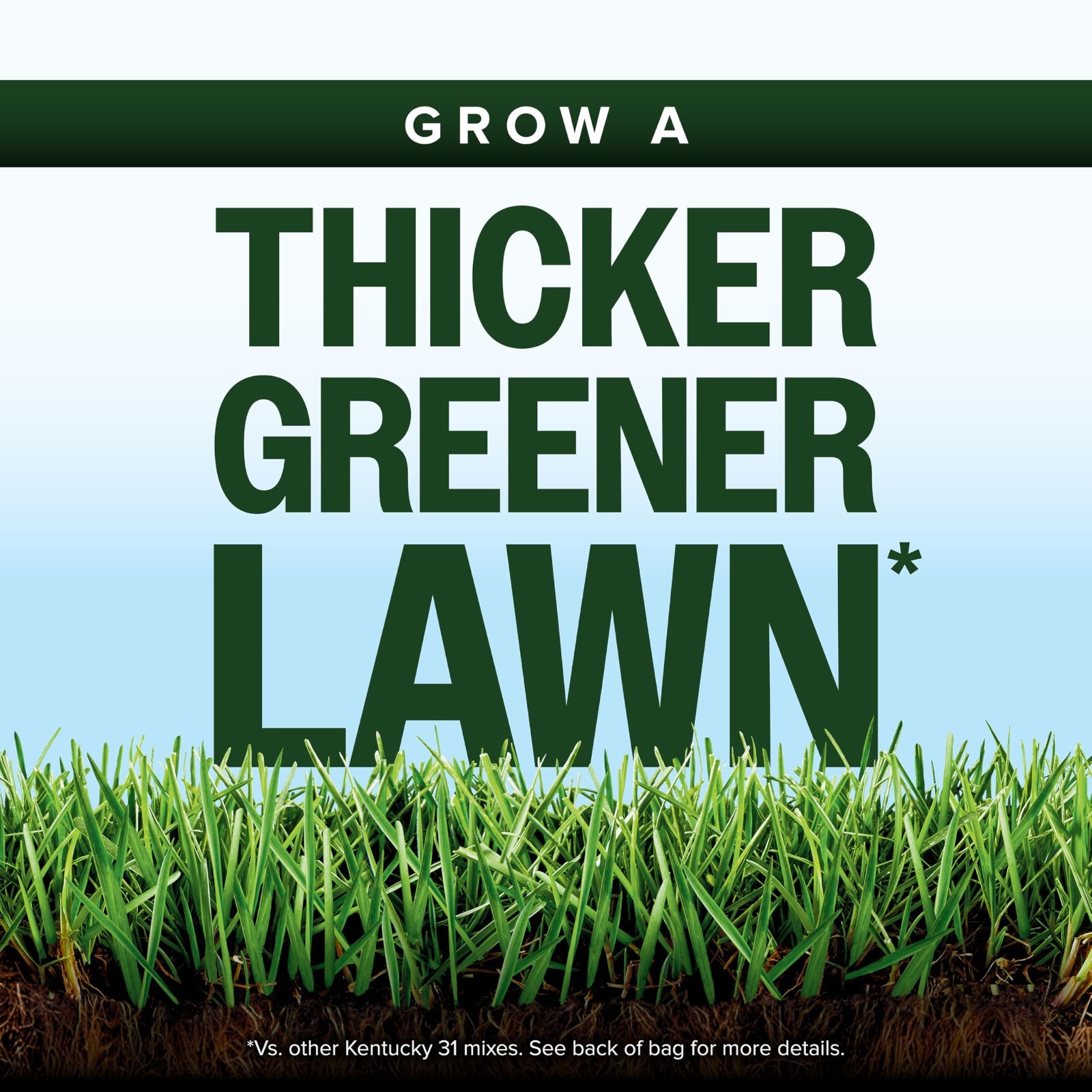 Kentucky 31 Grass Seed Mix for New Lawns & Overseeding, Thick & Green Growth, Co