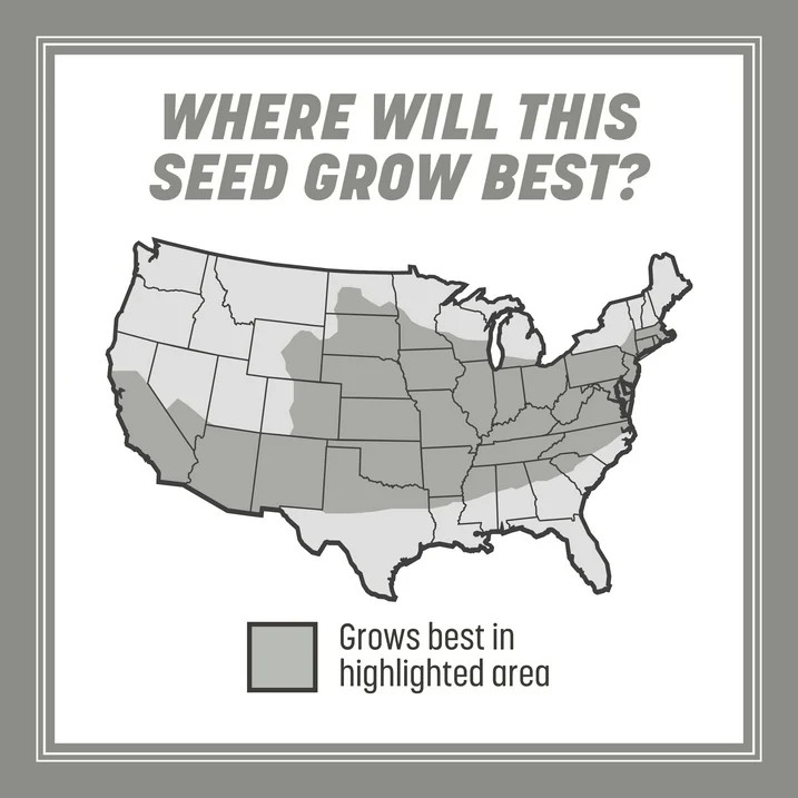 Pennington Central Grass Seed Mix 7 lb Sun & Partial Shade Lawn Seed