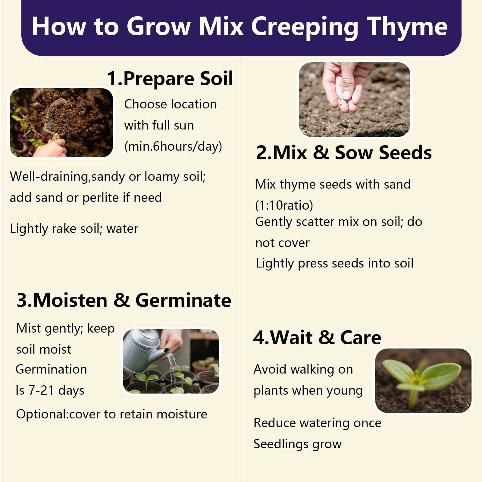 32000+ Mix Creeping Thyme Seeds Ground Cover, Aromatic Low Maintenance Plant …