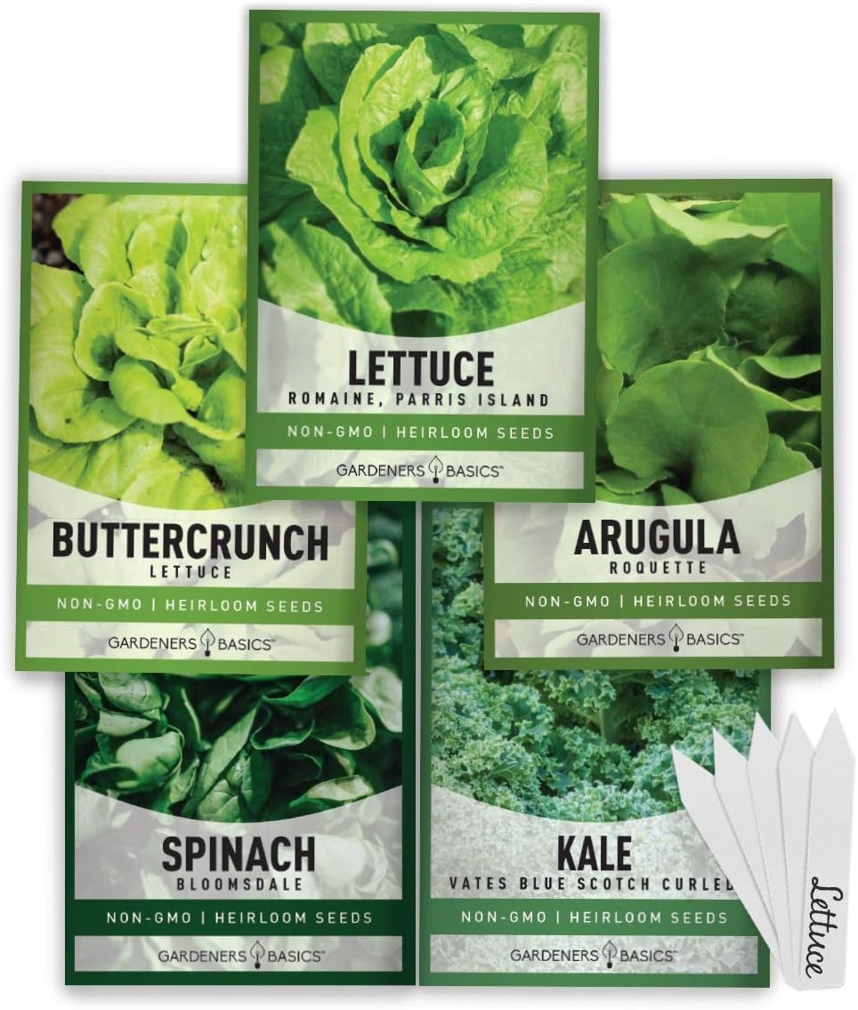 High-Germination Rate Heirloom Greens Seed Pack – Ideal for Garden Enthusiasts
