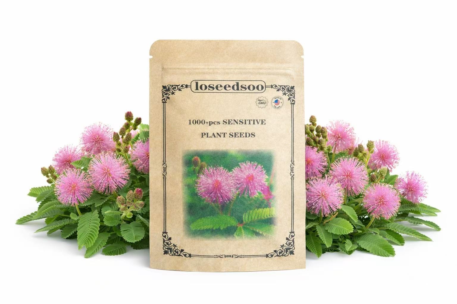 1000+ Sensitive Plant Seeds for Planting – Mimosa Pudica Touch Me Not Seeds