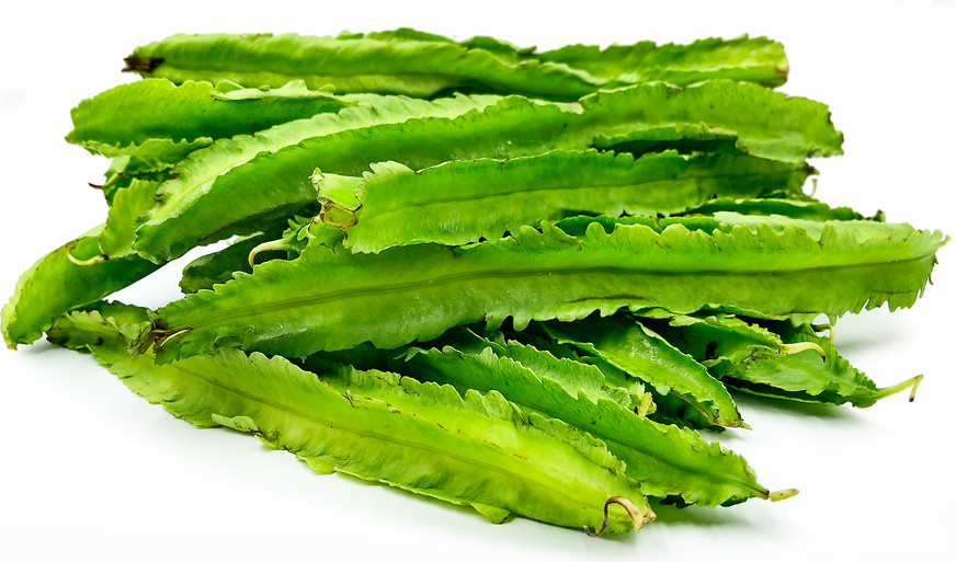 10 Winged Bean Seeds | Dragon Goa Asparagus Sigarilyas Chathura Payar Đậu Rồng