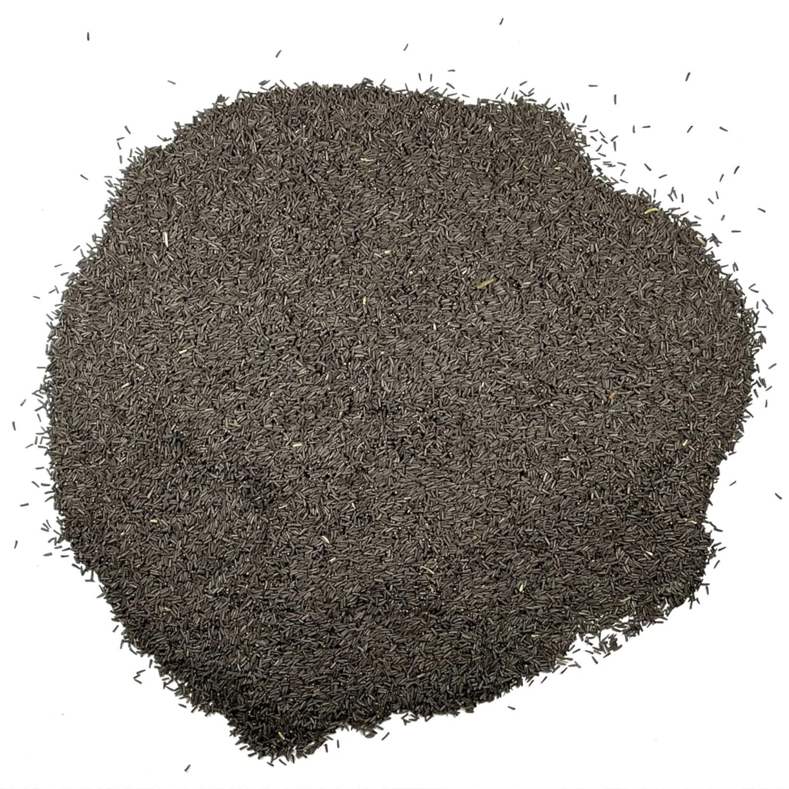 Black Eyed Susan Seeds 120,000+ Perennial Rudbeckia Hirta for Bulk Planting