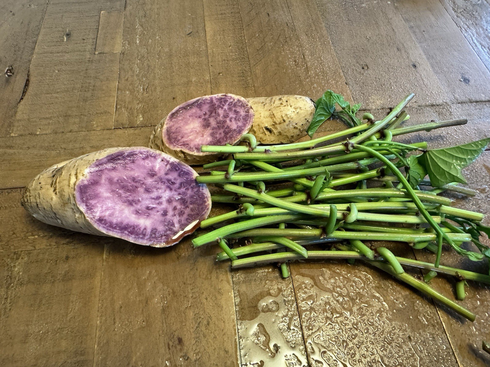 2 Varsities: 20 Molokai And 20 Okinawa Japan Sweet Purple Potato Slip Cuttings