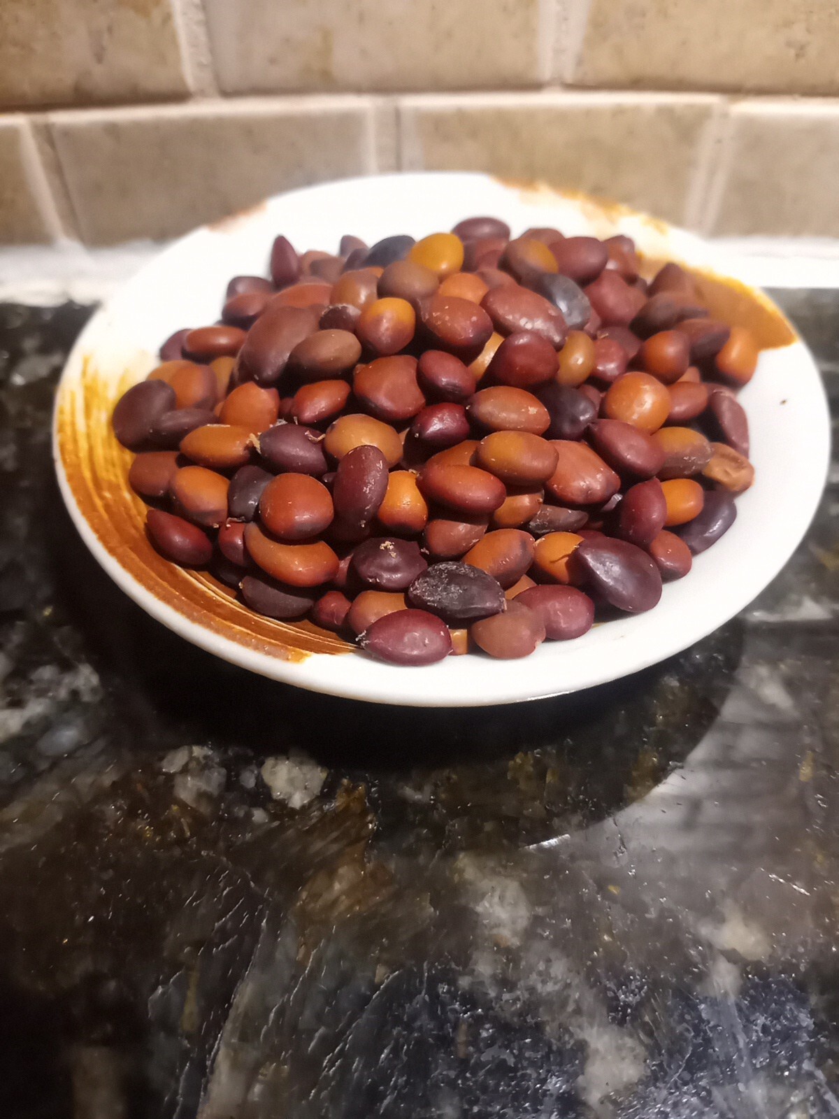 30 Carob Tree Seeds “Ceratonia Siliqua” wild-crafted Biblical fruit raw