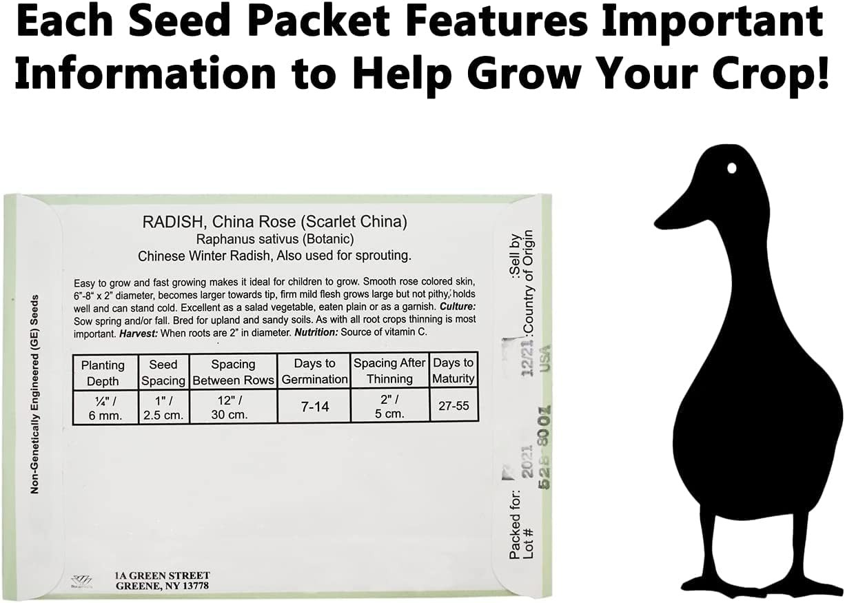 Set of 43 Assorted Vegetable & Herb Seed Packets – Over 10,000 Seeds! – Green