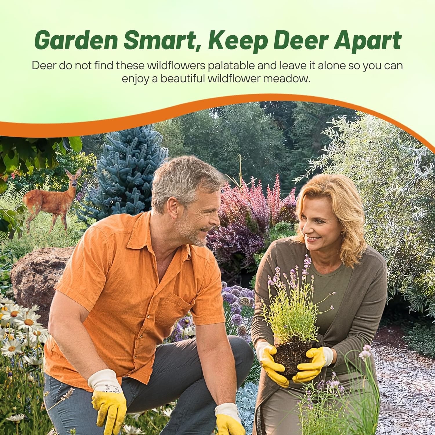 1 LB Deer Resistant Wild Flower Seed Mix – available in bulk