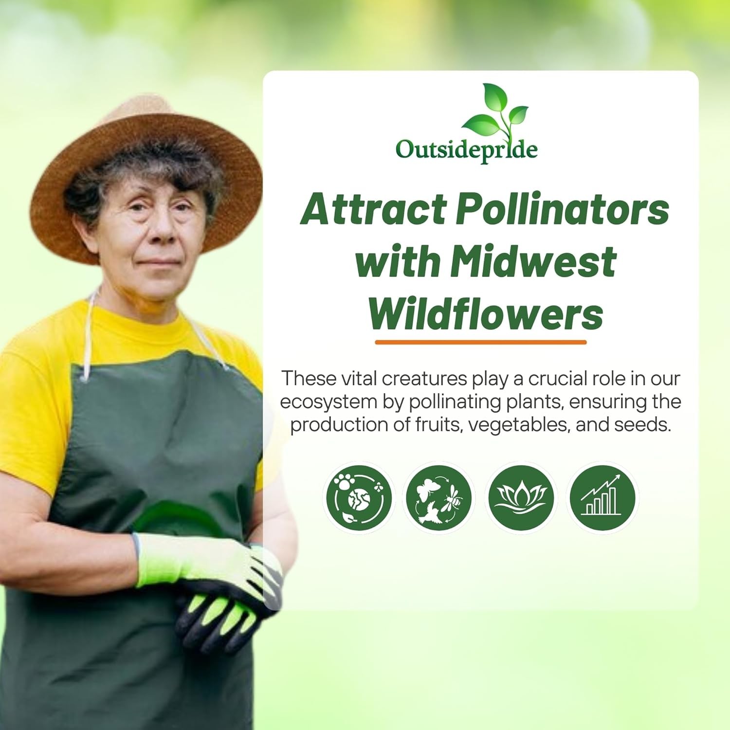 1 LB Midwest wildflower seed mix from Outsidepride.
