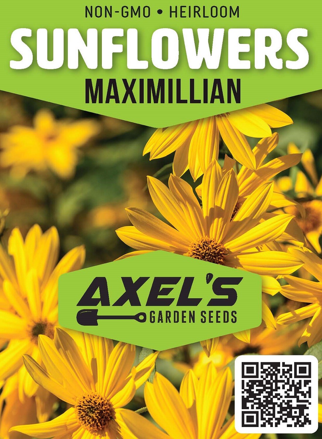 Bulk Sunflower Seeds Mix – Heirloom Non-Gmo Flower Seeds for Home Garden