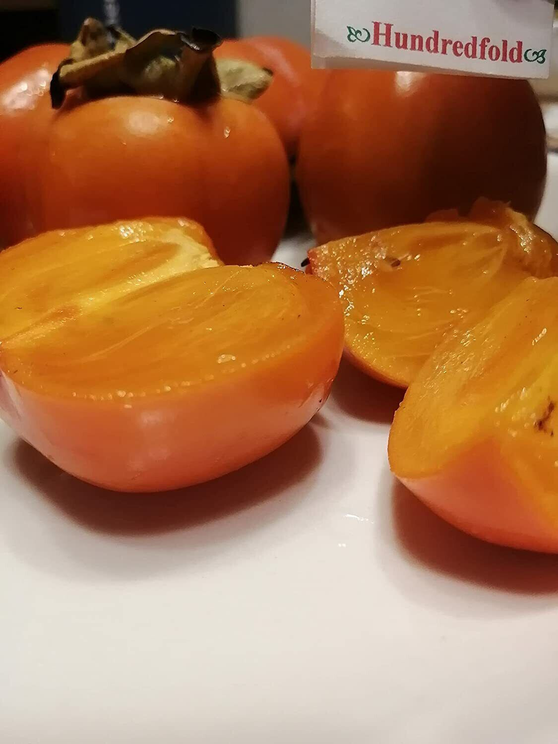 American Persimmon 5 Fruit Tree Seeds Diospyros virginiana US Native Sweet Fruit