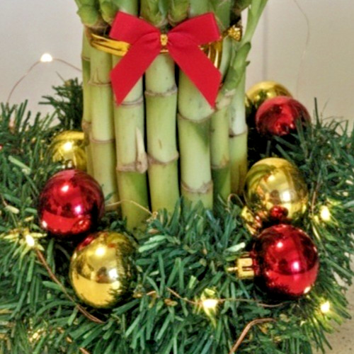 Lucky Bamboo Plant Live, 2-Tiered W/ Butterfly Stake