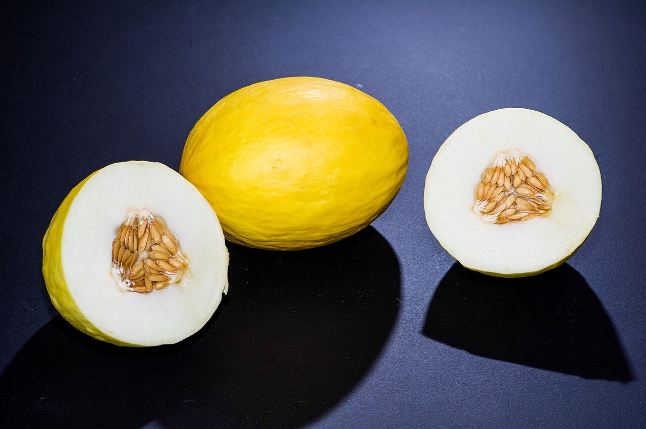 50 Canary Melon Seeds Cucumis melo Non-GMO Free Shipping