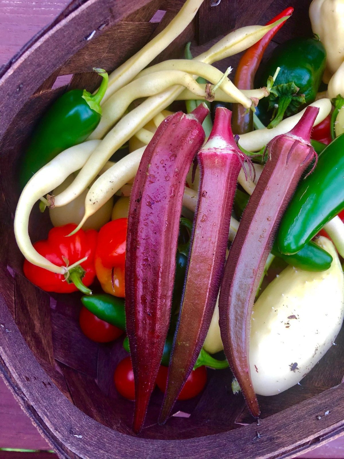 Burgundy Red Okra Seeds | Clemson Spineless Pink Fire Candle Vegetable Seed 2024