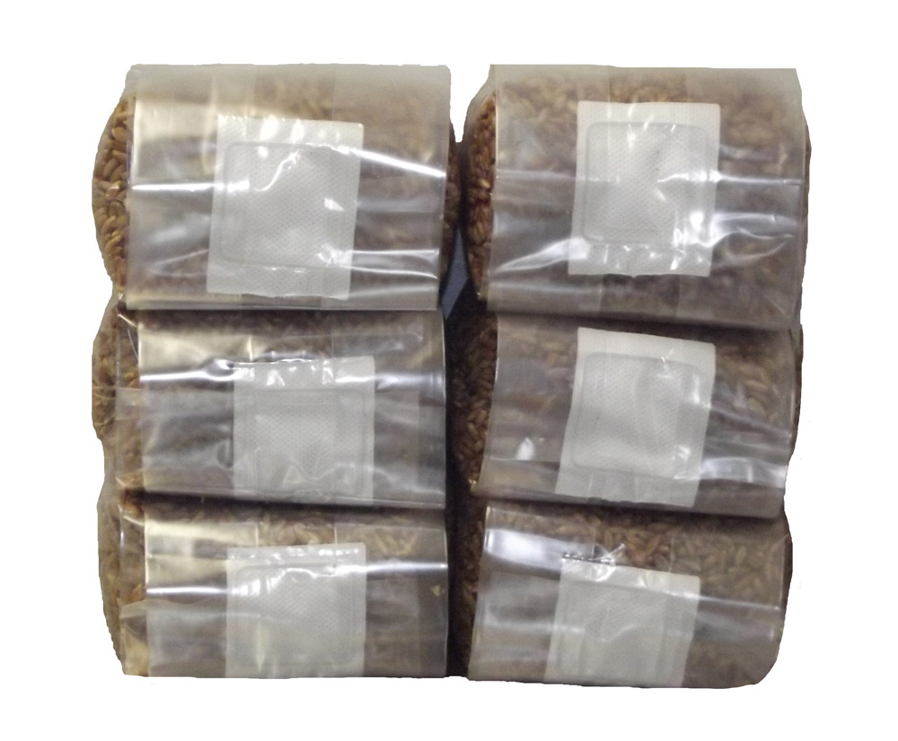 Sterilized Rye Berry Mushroom Substrate (6 x 1lb bags)