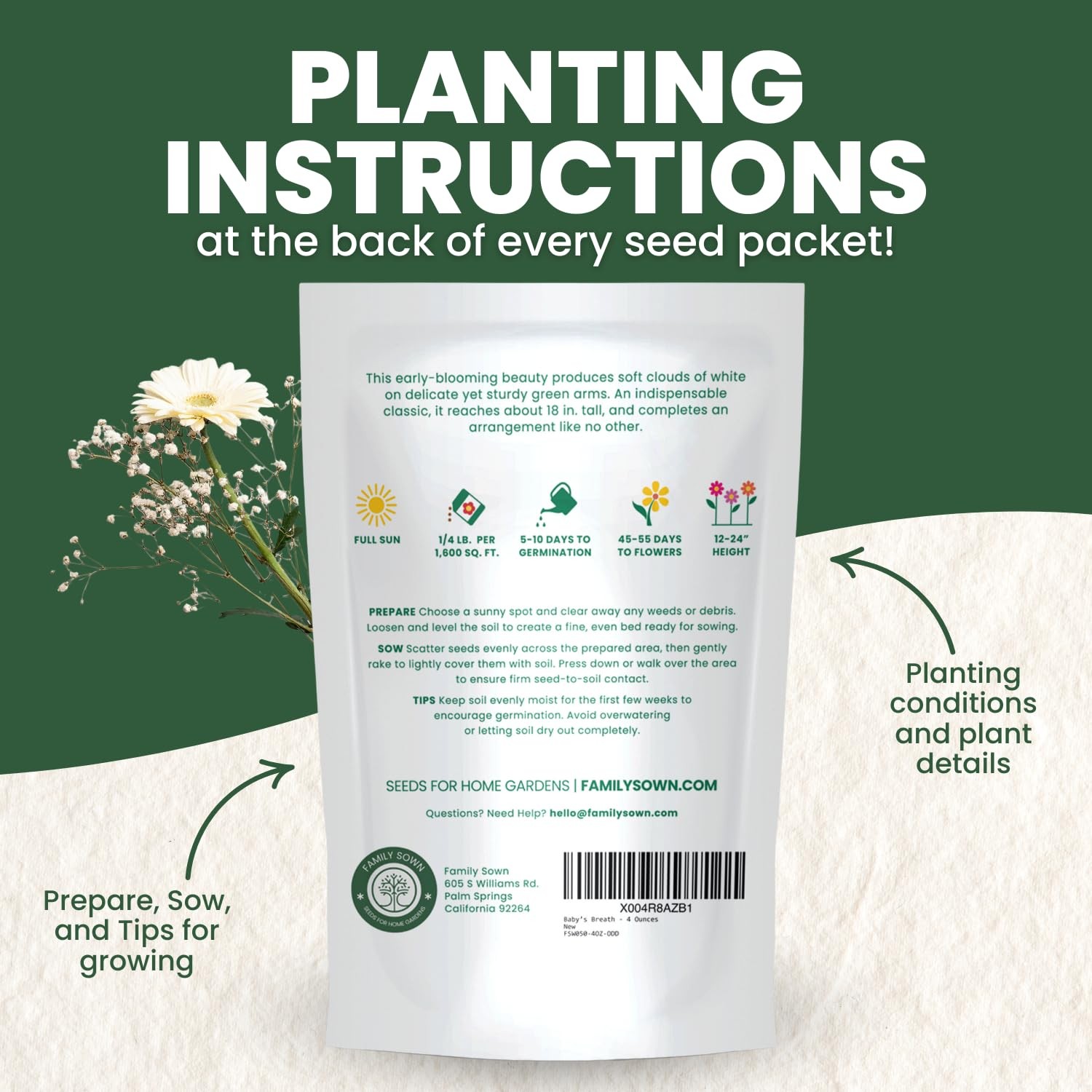 Buy 90,000 Baby’s Breath Seeds for Planting – 4 Ounce Pouch, 2026 Season