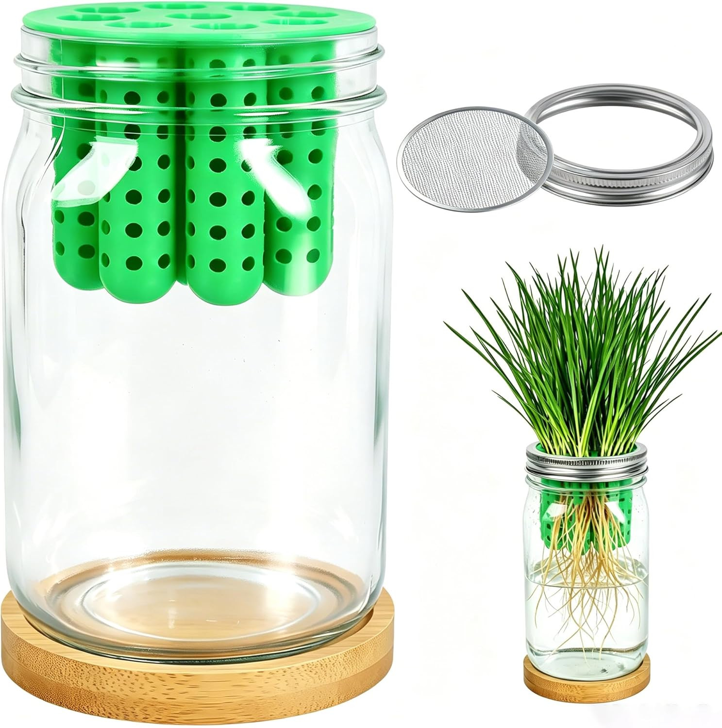 2-In-1 Seed Sprouting Set- Green Onion Regrower Kits – Onion Planter Scallion, G