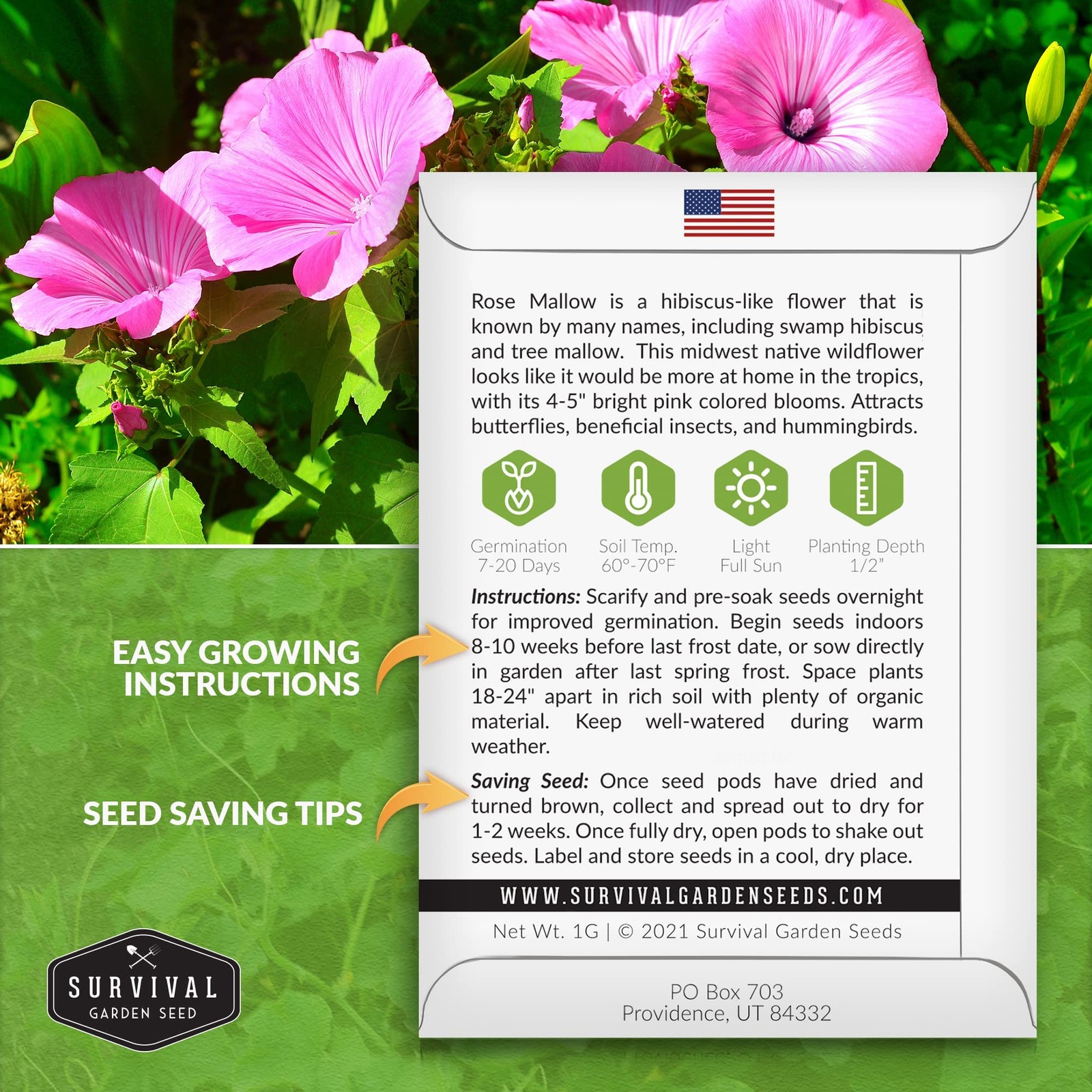 Rose Mallow Seeds – Annual Lavatera Trimestris for Easy Cottage Garden Blooms