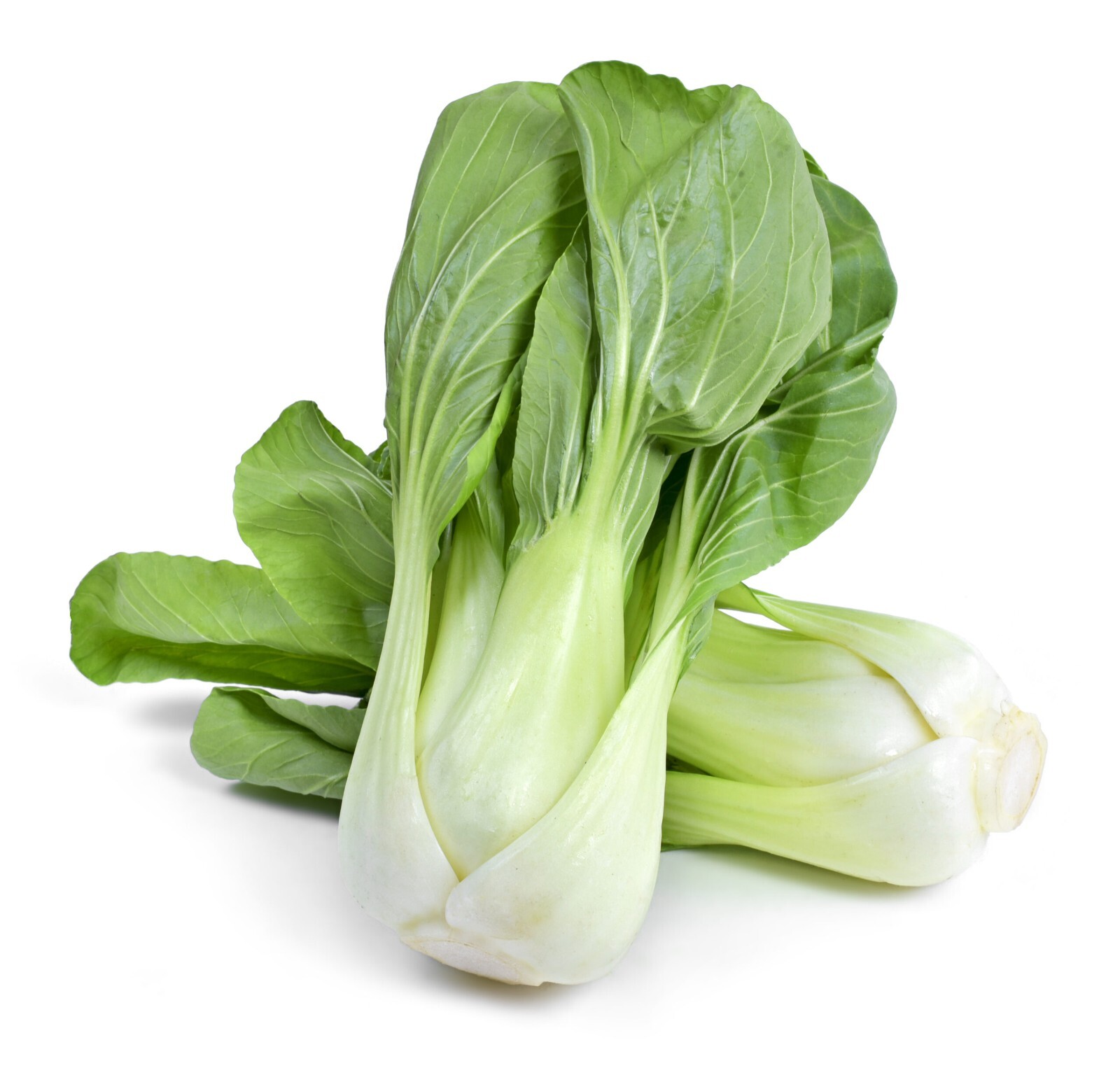 Pak Choi (Bok Choy) Chinese Cabbage Seeds Non-GMO USA Ships Free Bulk Seeds