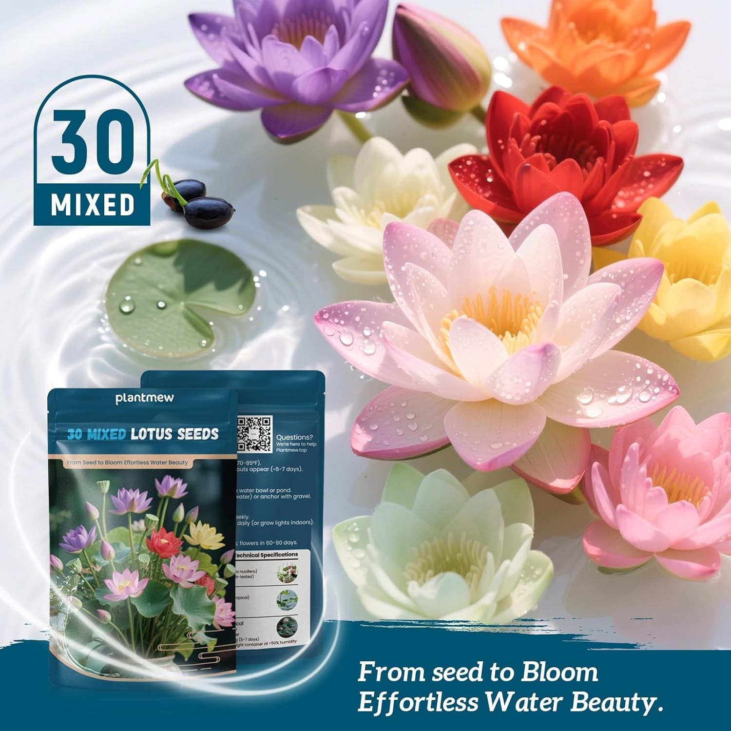 Lotus Seeds for Planting in Water | 30 PCS Mixed Color Bowl Lotus Seeds for Indo