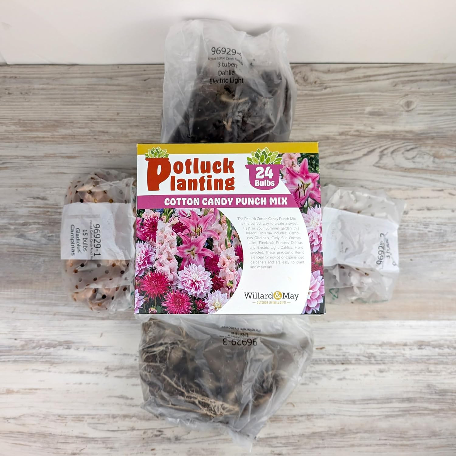 All-In-One Flower Bulb Garden Kit – Cotton Candy Punch Mix – 24 Flower Bulbs per