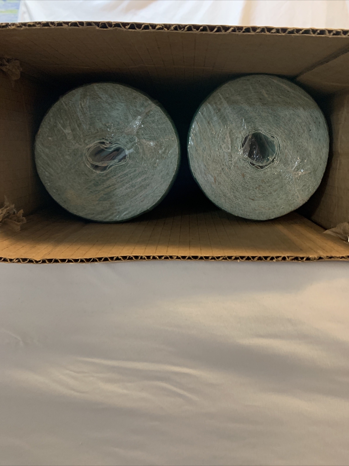Pack Of 2 Grotrax 100 Sq. Ft. Big Roll Tall Fescue Mixture