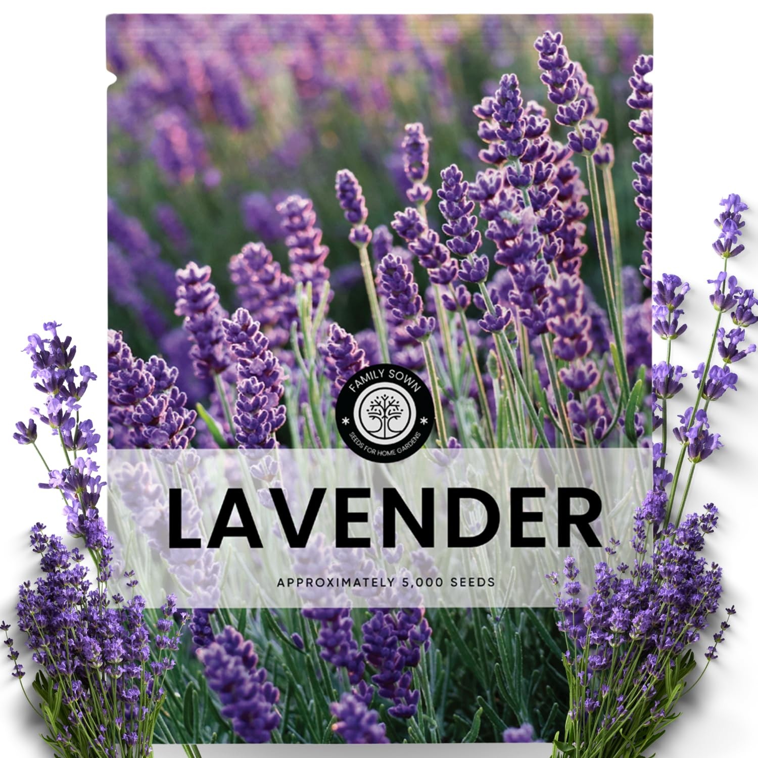 Lavender Seeds 5,000 Count for Planting 2026 Season 5g Pouch