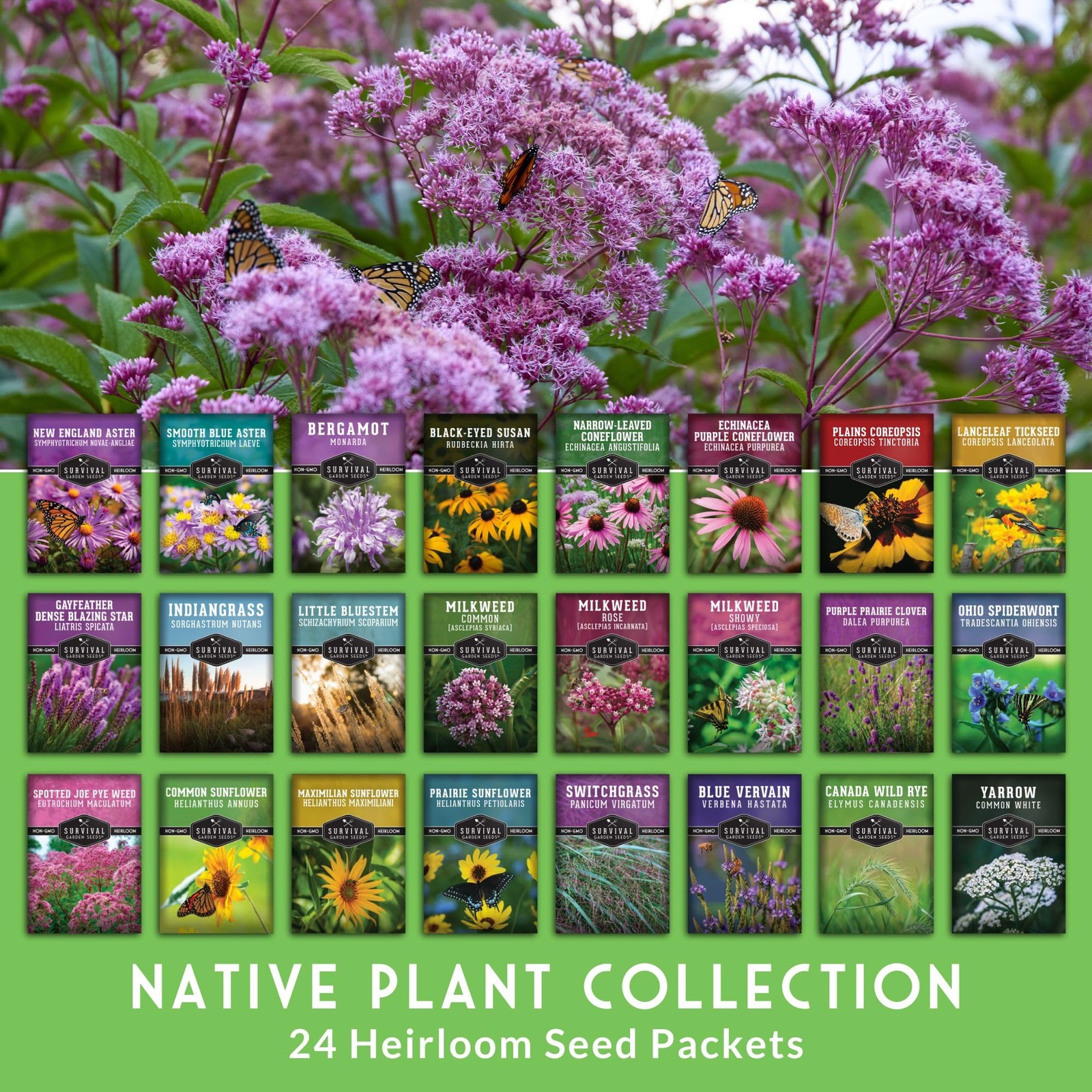 Native Wildflower Seeds for Planting 24 Variety Pack – Perennial & Annual Nor…