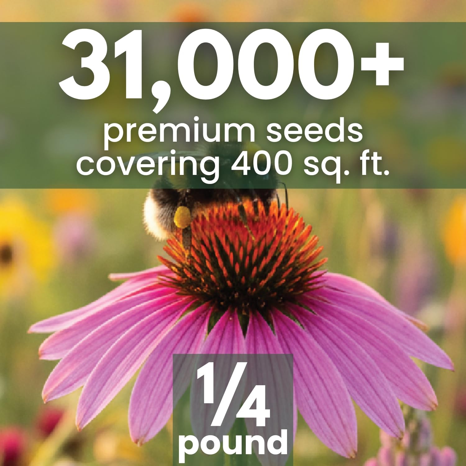 Bee Friendly Seed Mix – 31,000 Seeds for Planting – 4 Ounce Pouch