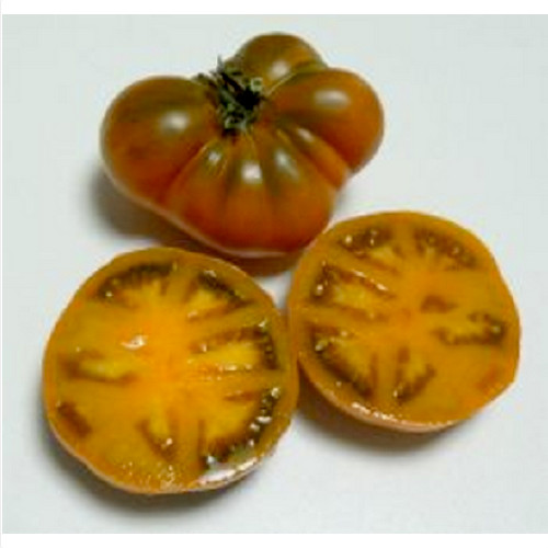 10 seeds Uluru Ochre DWARF Tomato Variety ORGANIC DTP beefsteak