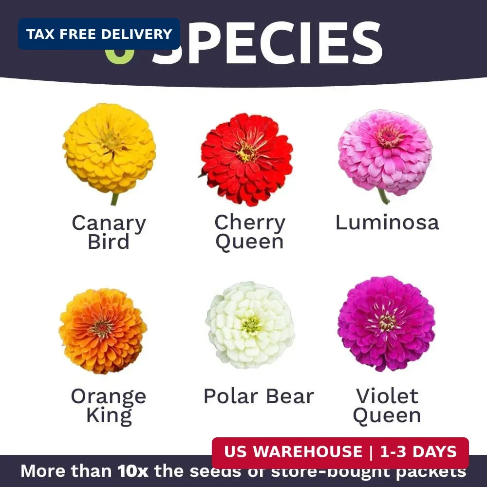 Zinnia Seeds California Giants Mix 1 Oz Pack 3000+ Flower Seeds Mixed Colors