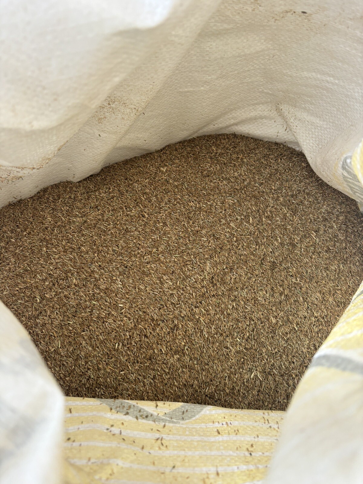 4 Lbs Overseeding Grass Seeds. Kentucky Bluegrass And Perennial Ryegrass 50/50