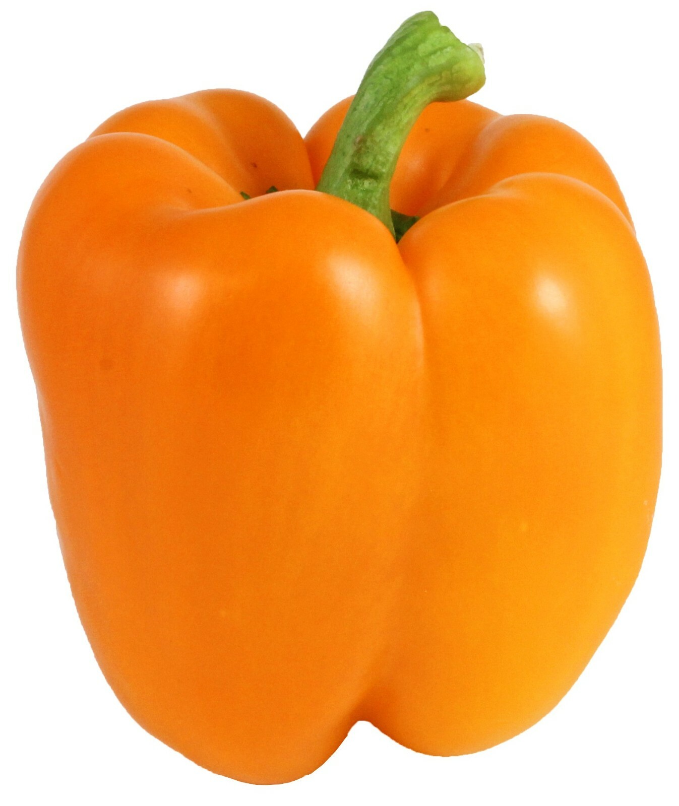 50+ Orange Bell Pepper Seeds | Non-GMO | Heirloom | Fresh Garden Seeds