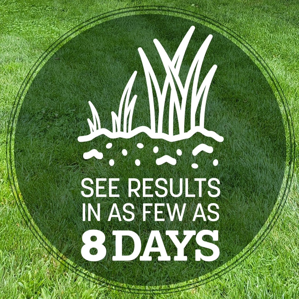 [FASH SALE]Pennington Kentucky 31 Tall Fescue Grass Seed Sun/Partial Shade 40 lb