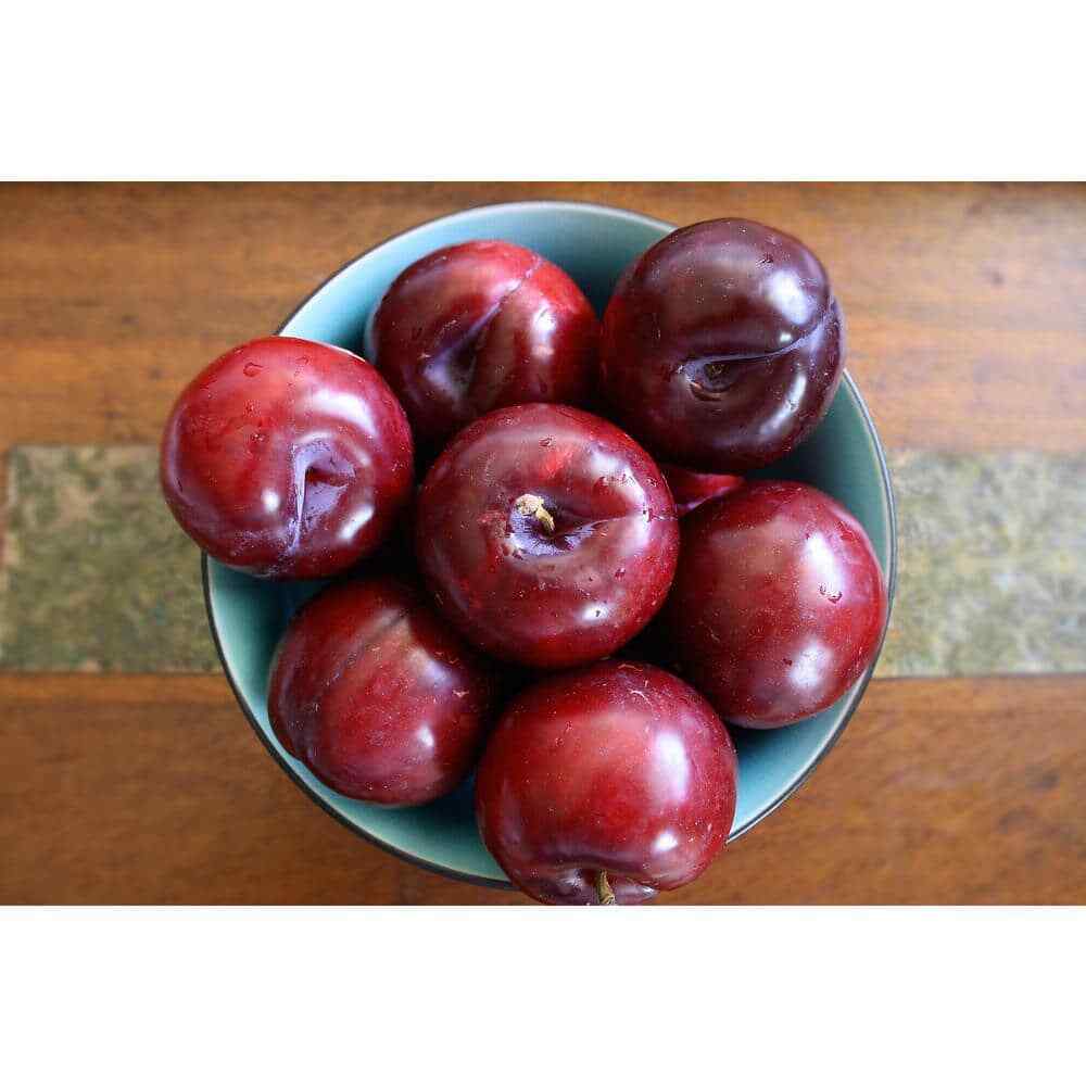Dwarf Beauty Plum Tree, Self-fruitful, 36″ Tall
