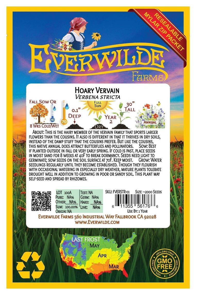 2000 Hoary Vervain Wildflower Seeds – Everwilde Farms Mylar Seed Packet