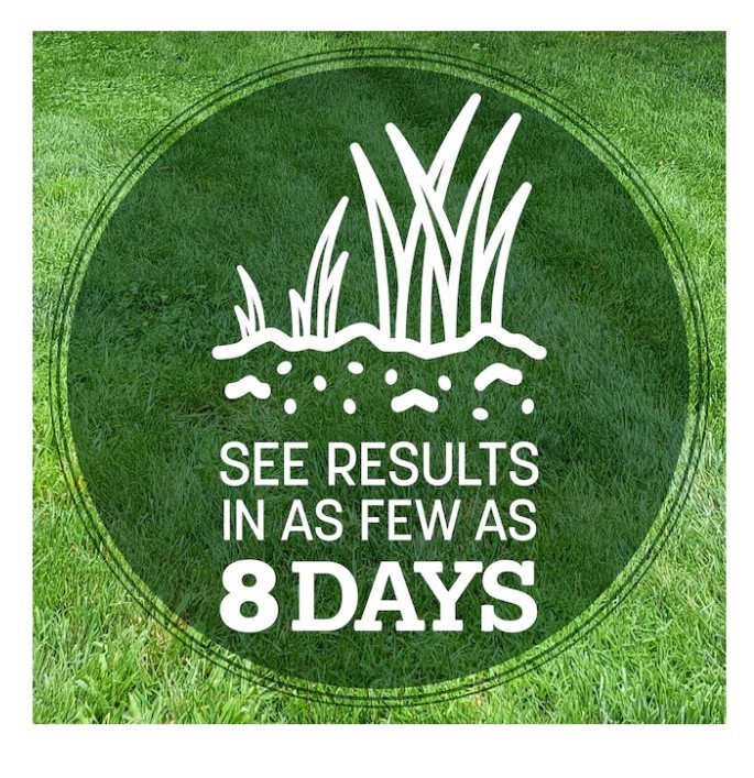 [BIG SALE] Pennington Tall Fescue Kentucky 31 Grass Seed 40 lb
