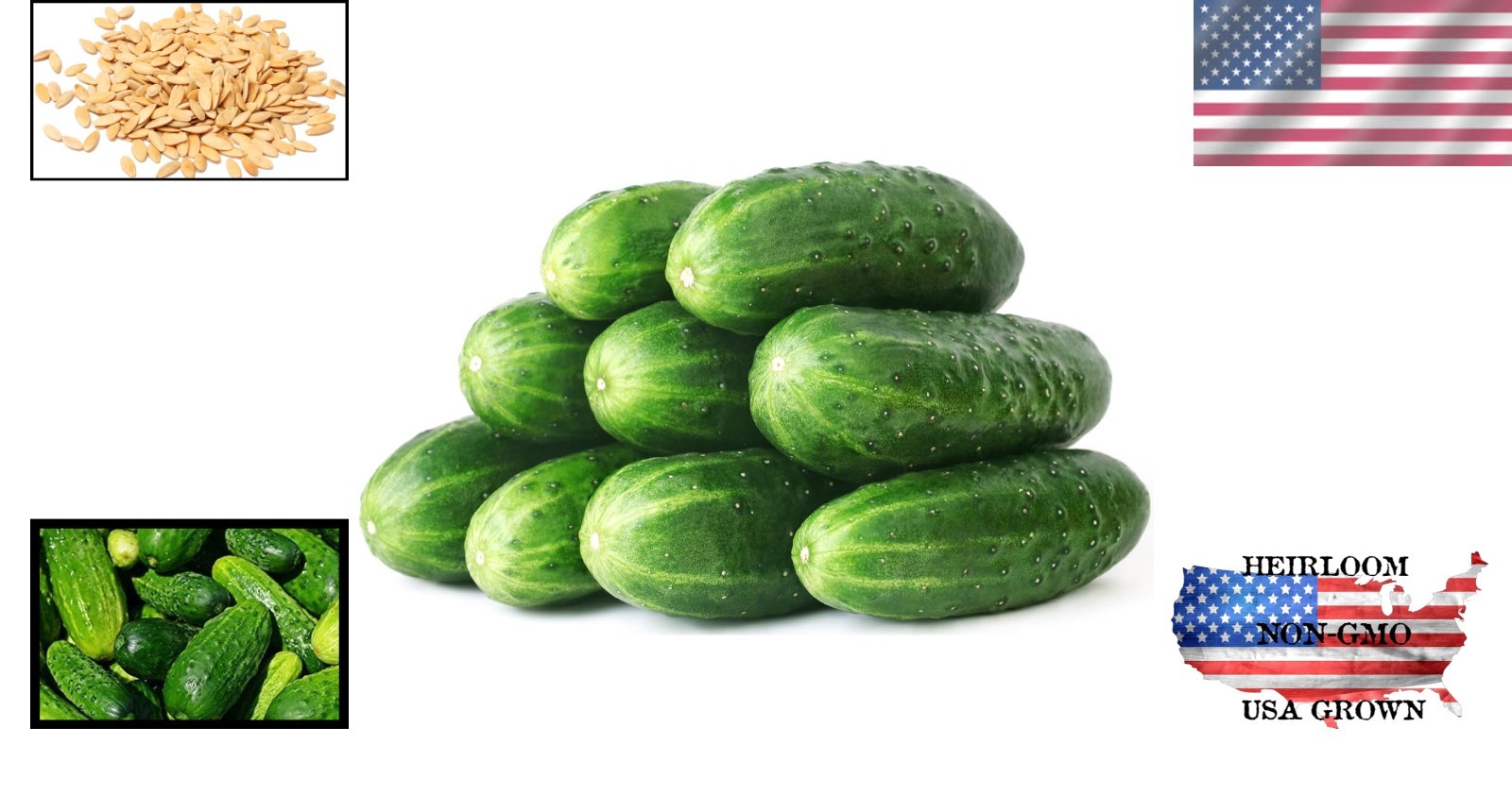 50 Pack of Straight Eight Cucumber Seeds – Ideal for Spring Planting & Slicing