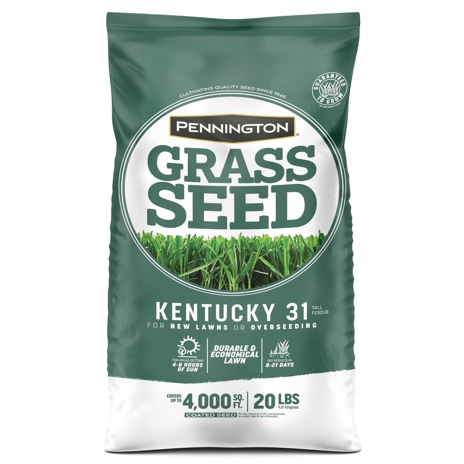 Pennington Kentucky 31 Tall Fescue Grass Seed Sun to Partial Shade 7- 20 lb Bag