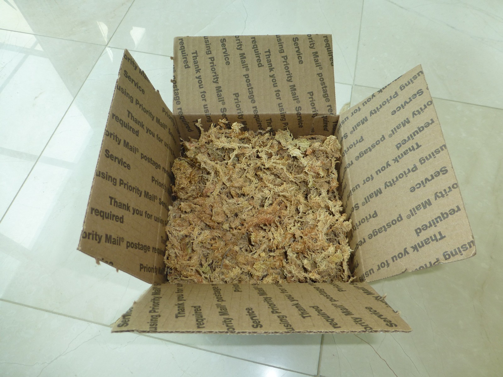 Premium New Zealand Sphagnum Moss AAA Grade for Plants Orchids Reptiles