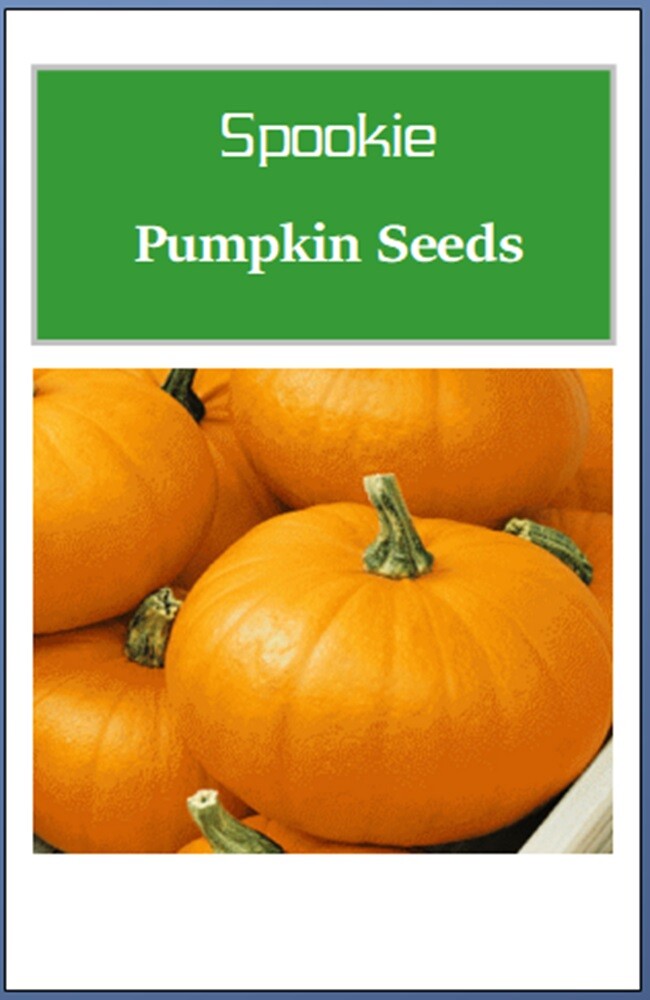 Spookie Pumpkin Seeds | NON-GMO | Heirloom | Fresh Garden Seeds