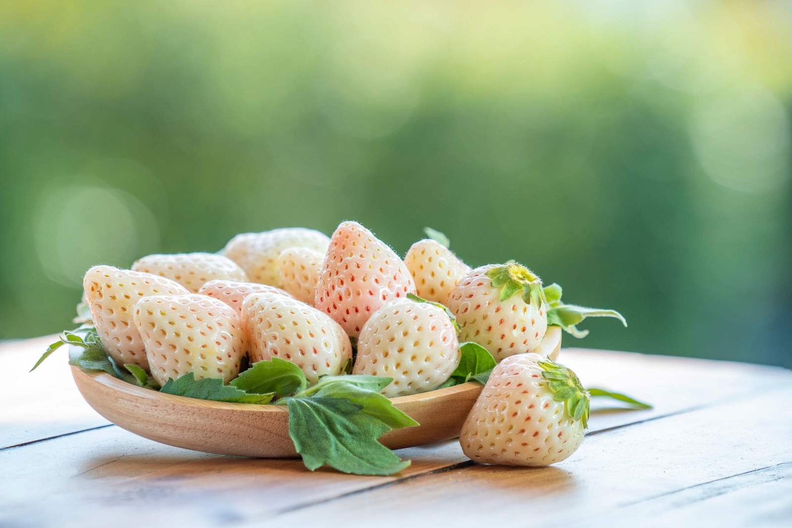 100 WHITE SOUL STRAWBERRY Fragaria Vesca Fruit Flower Berry Seeds *Comb S/H
