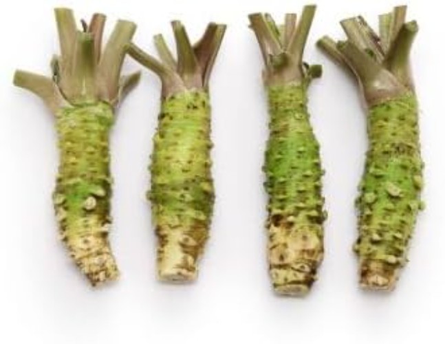 High Germination Wasabi Mustard Seeds – Perfect for Flavorful Sushi & Stir-Fries
