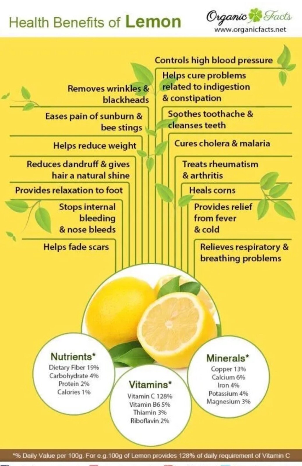 Meyer Lemon Seeds Citrus Edible Garden Fruit Tree Organic NonGMO TX USA