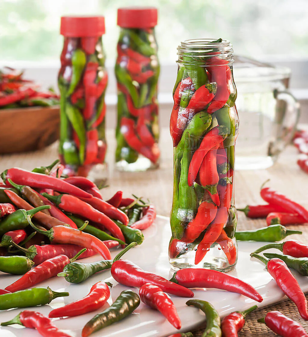 Large Red Thick Cayenne Pepper Seeds | USA Hot Chili Chile Vegetable Seed 2024