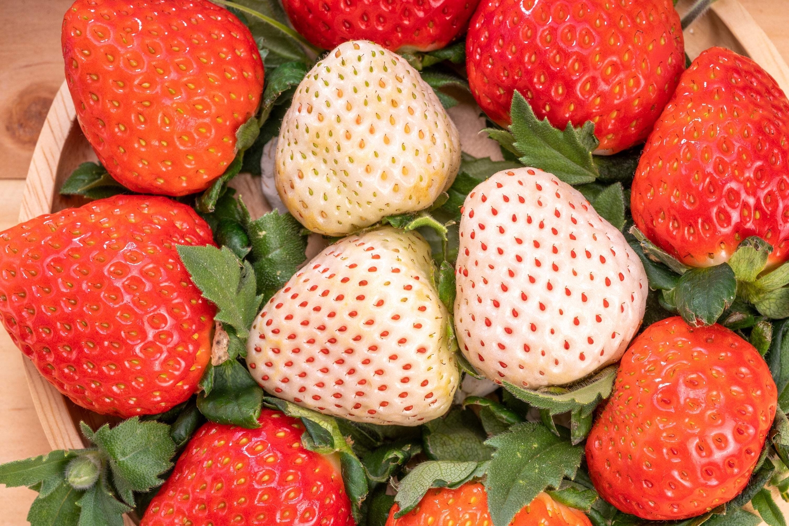 100 WHITE SOUL STRAWBERRY Fragaria Vesca Fruit Flower Berry Seeds *Comb S/H