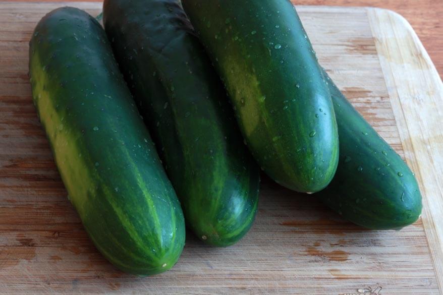 30+Marketmore 76 CUCUMBER Seeds Organic Vegetable Garden Patio Container Easy