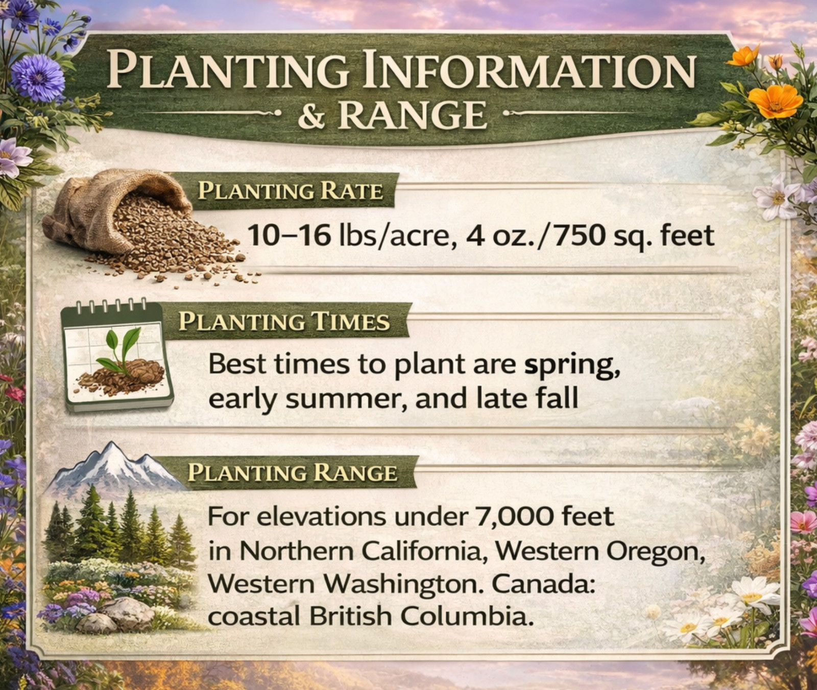 1 Pound Pacific Northwest Bulk Wildflower Seed Mix 1lb Covers 3,000sq-ft