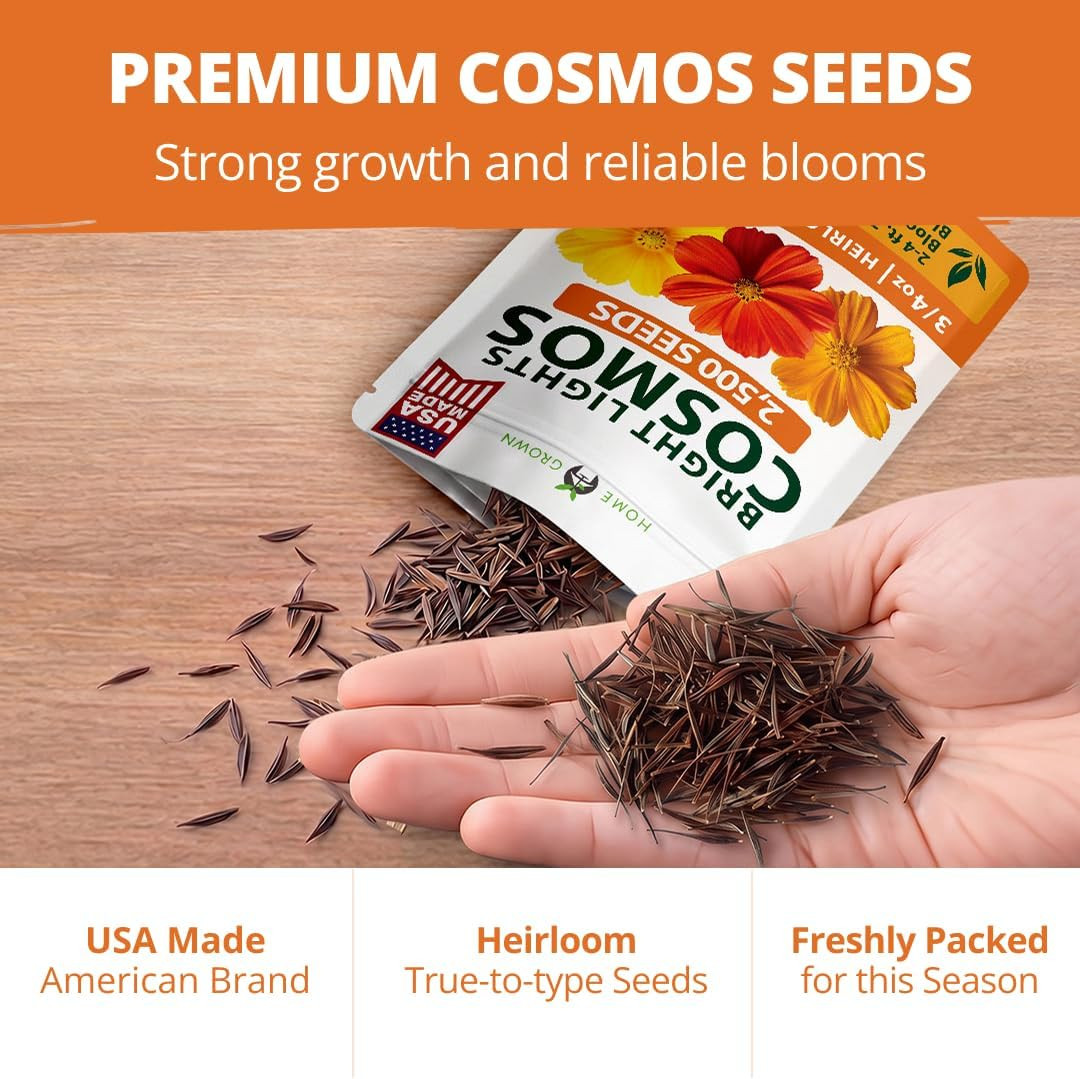 Cosmos Bright Lights Mix Seeds – 2500 Cosmos Sulphureus for Planting Spring 2026