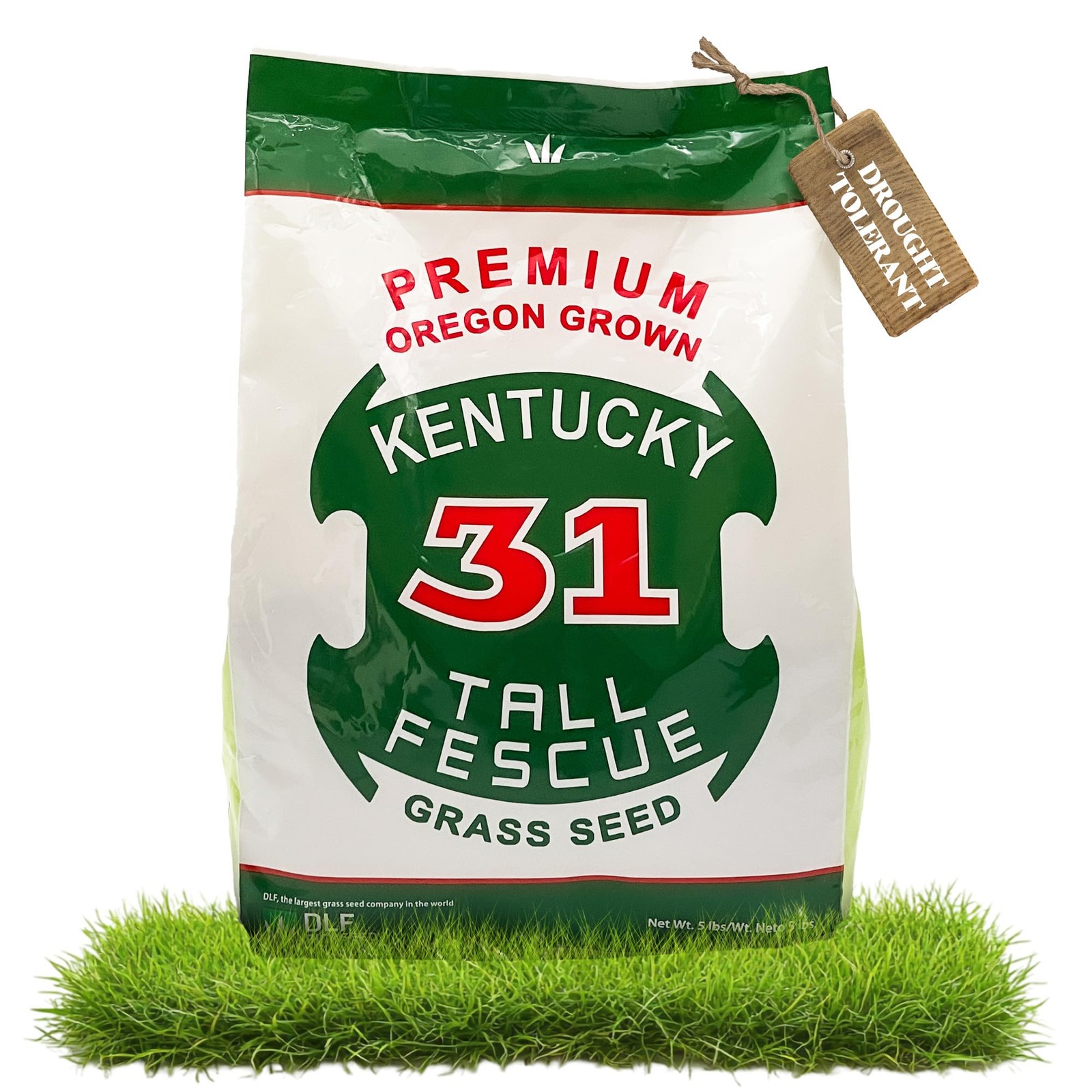 XSeed Oregon Grown Kentucky 31 Tall Fescue Grass Seed for Sun and Shade Droug…