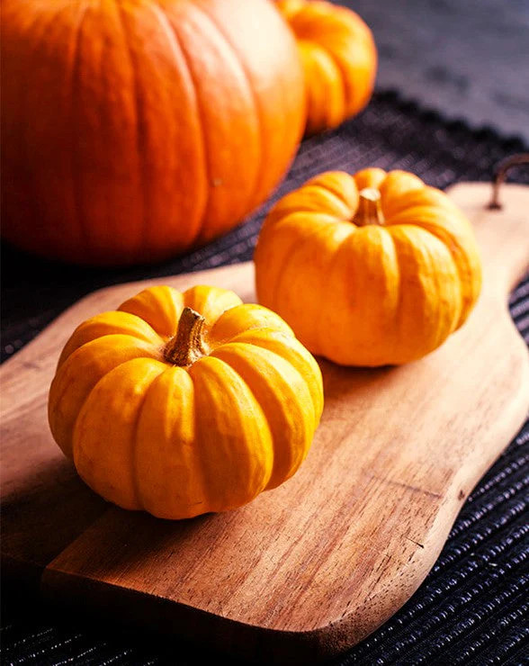 Munchkin Pumpkin Seeds – For 2025 Planting Mini Pumpkins Jack Be Little Ribbed